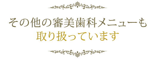 その他の審美歯科メニューも取り扱っています